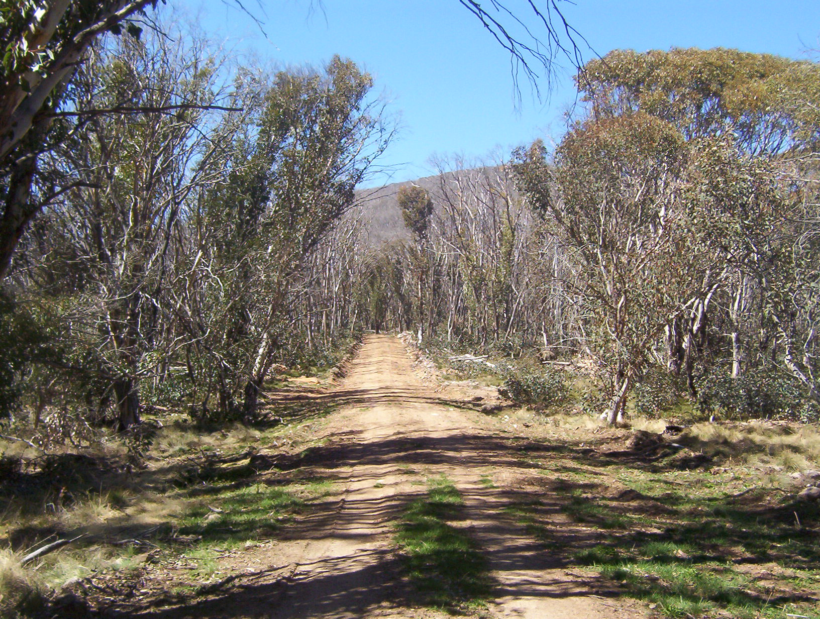 Walking track Namadgi NAtional Park Canberra